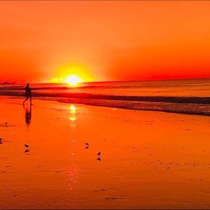 Meet your Posher, Josh